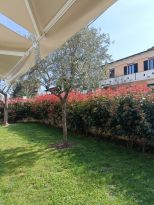 Villa Mediterranea Apuana |  -  - 