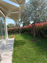 Villa Mediterranea Apuana |  -  - 