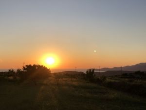 Tenuta Isola Mea |  -  - 