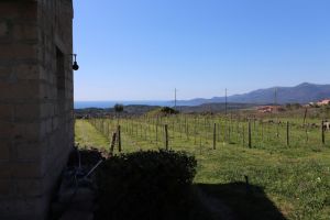 Tenuta Isola Mea |  -  - 