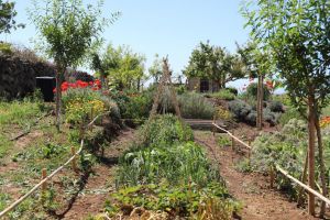 Tenuta Isola Mea |  -  - 