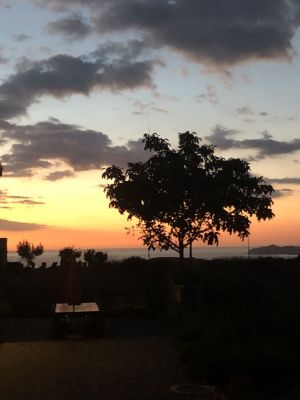 Tenuta Isola Mea |  -  - 