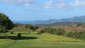 Tenuta Isola Mea |  -  - 