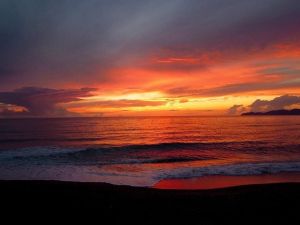 Tenuta Isola Mea |  -  - 