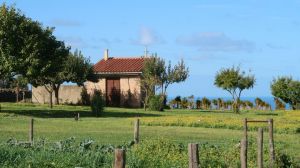 Tenuta Isola Mea |  -  - 