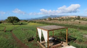 Tenuta Isola Mea |  -  - 