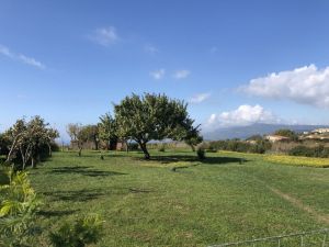 Tenuta Isola Mea |  -  - 