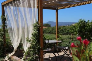 Tenuta Isola Mea |  -  - 
