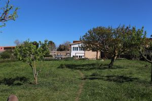 Tenuta Isola Mea |  -  - 