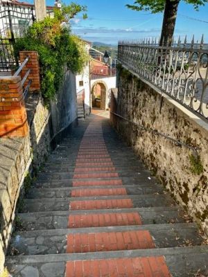 La casetta che Sorride |  -  - 