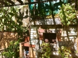 La Casa Del Giardino di Monterosso |  -  - 