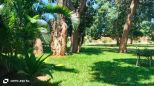 Villa Mwembe Resort | Malindi - Case e ville - Kenya & Zanzibar