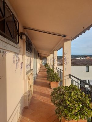 La Casa degli Artisti Porto San Paolo |  -  - 