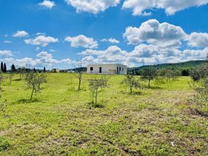 Tenuta Oasi in Val di Noto |  -  - 