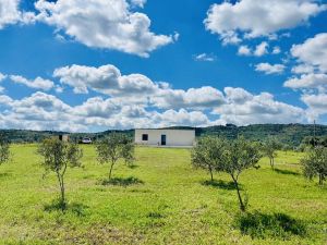 Tenuta Oasi in Val di Noto |  -  - 