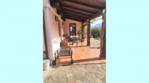 Casa Il sole ed il verde delle Apuane  |  -  - 