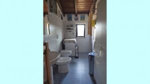 Casa Il sole ed il verde delle Apuane  |  -  - 