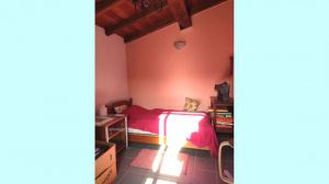 Casa Il sole ed il verde delle Apuane  |  -  - 
