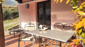 Casa Il sole ed il verde delle Apuane  |  -  - 