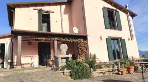 Casa Il sole ed il verde delle Apuane  |  -  - 
