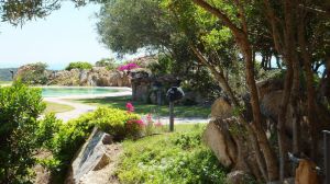 Tenuta San Teodoro |  -  - 