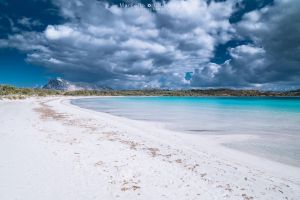 Tenuta San Teodoro |  -  - 