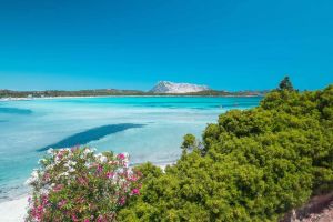 Tenuta San Teodoro |  -  - 