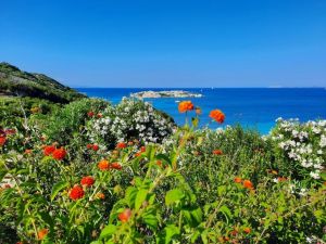Villa i Mirti Porto Quadro |  -  - 