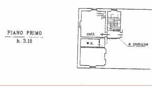 Antica Casa Etruria Mare |  -  - 