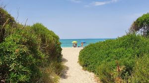 Antica Casa Etruria Mare |  -  - 