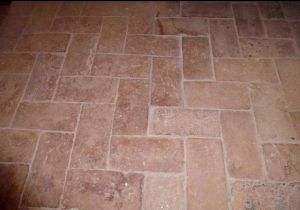 Antica Casa Etruria Mare |  -  - 
