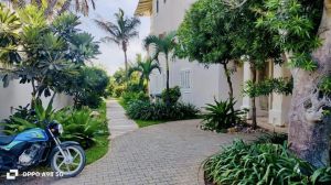 Mounts Bay Appartament Waterfront  |  -  - 