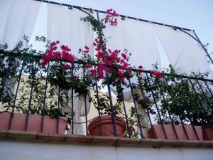 Antica Casa la Perla del Sud |  -  - 