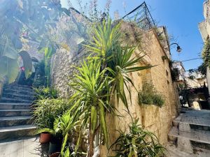 Antica Casa la Perla del Sud |  -  - 