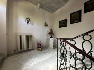Villa Suprema |  -  - 