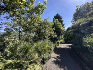 Villa Suprema |  -  - 