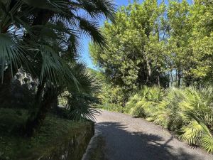 Villa Suprema |  -  - 