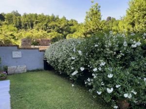 Villa Suprema |  -  - 