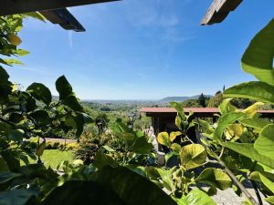 Villa Malaspina Mare |  -  - 