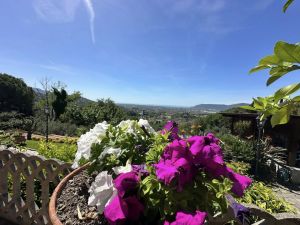 Villa Malaspina Mare |  -  - 