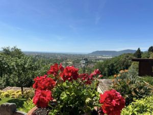 Villa Malaspina Mare |  -  - 