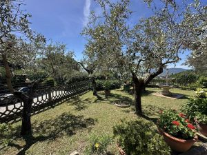 Villa Malaspina Mare |  -  - 