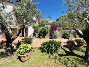 Villa Malaspina Mare |  -  - 
