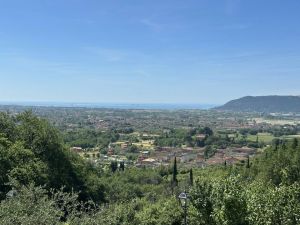 Villa Malaspina Mare |  -  - 