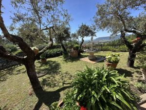Villa Malaspina Mare |  -  - 