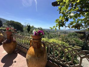 Villa Malaspina Mare |  -  - 