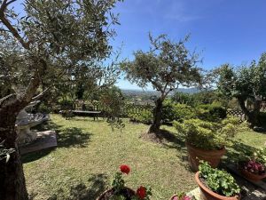 Villa Malaspina Mare |  -  - 