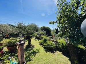 Villa Malaspina Mare |  -  - 