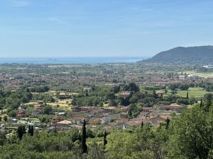 Villa Malaspina Mare |  -  - 