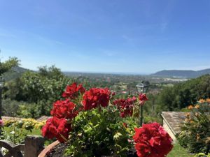 Villa Malaspina Mare |  -  - 